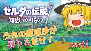 【ゆっくり実況プレイ】うちの魔理沙が借りるだけだぜ！ part 1【ゼルダの伝説 知恵のかりもの】