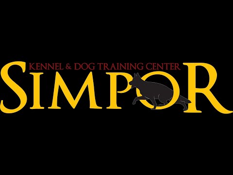 Obedience Training Video 3