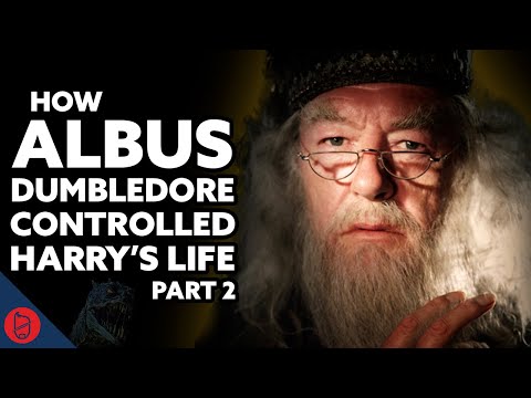 Dumbledore’s Big Plan: The Chamber of Secrets [Harry Potter Film Theory]
