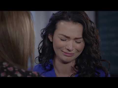 STZN | Along Came Love