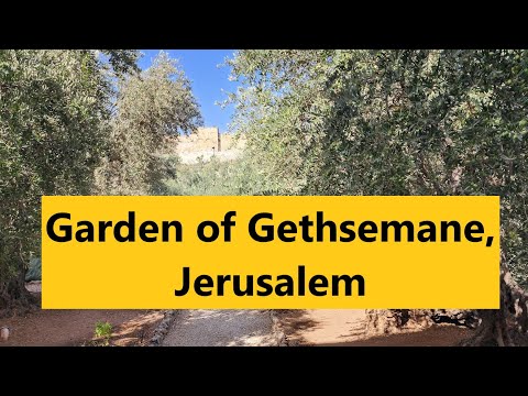 Gethsemane, Jerusalem -To be with Jesus during His difficult hours - The Basilica of the Agony