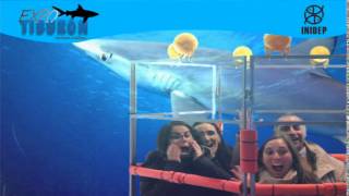 DIA 2 Expo Tiburon283