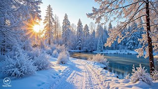 Beautiful Winter Music 2025 ❄️ Calming Music for Stress Reduction and Peaceful Mind