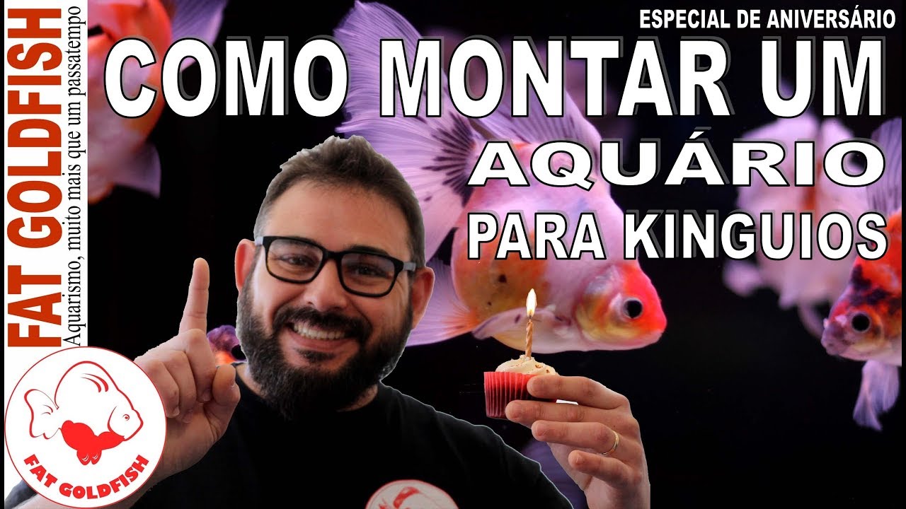 COMO MONTAR UM AQUÁRIO PARA KINGUIOS - ESPECIAL DE ANIVERSÁRIO