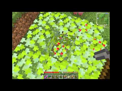 EpicCraft - | Díl #1. | Nadšení nadevše | CZ |