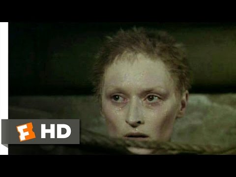Sophie's Choice (6/10) Movie CLIP - The Resistance (1982) HD