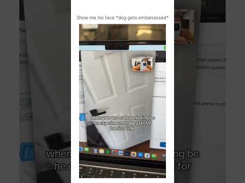 I just look up happy tail 😧