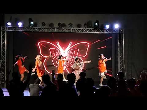 Odori 踊り cover Festive [Full stage] งาน「 Shimal2i Seitan 🧡」 by Odori