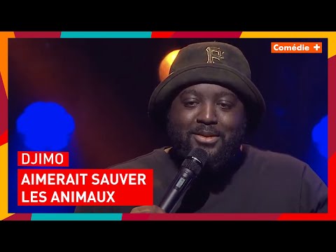 Djimo aimerait sauver les animaux - Comédie+