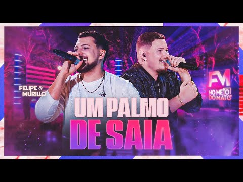 Um Palmo de Saia - Felipe e Murillo