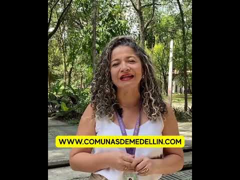 171 artistas empíricos iniciaron su profesionalización, en programa liderado por