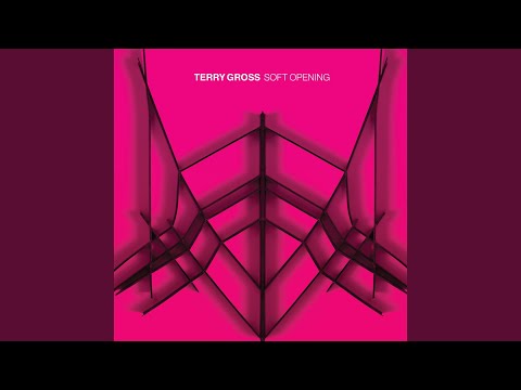 Terry Gross video