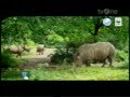 B4 LARUTAN PENYEGAR CAP BADAK WWF 2MCM DESI PRIA BADAK 30 Mpg