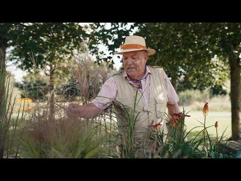 Gartln mit Starkl: Tipp - Was kann man alles rund um einen Teich pflanzen?