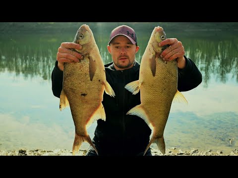 Pecanje krupne Savske Deverike na Kastere i Gliste- Ribolov sredinom Studenog