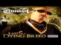 Mr.Criminal - Lets Party (2013)