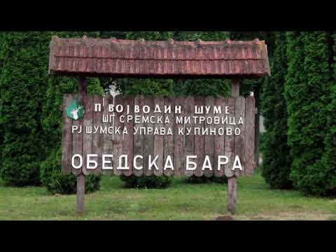 Znaci moga mesta ep.270 27.10.2017.