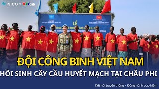 Đội Công binh Việt Nam hồi sinh cây cầu huyết mạch tại Abyei | Bảo hiểm PJICO