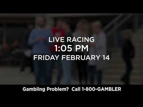 Valentines Day Race @ The Meadows Racing Brought to you by the MSOA.