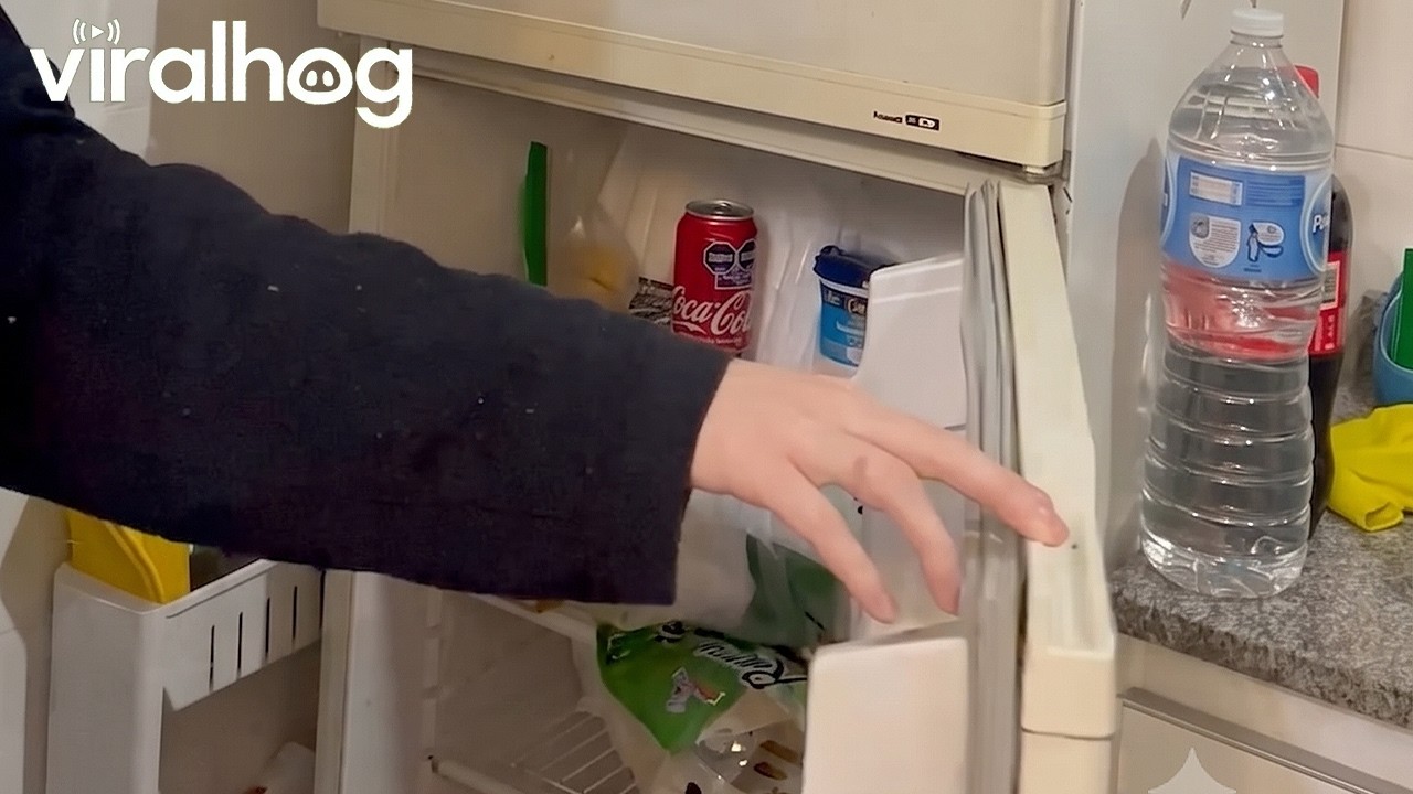 Iced up Refrigerator || ViralHog