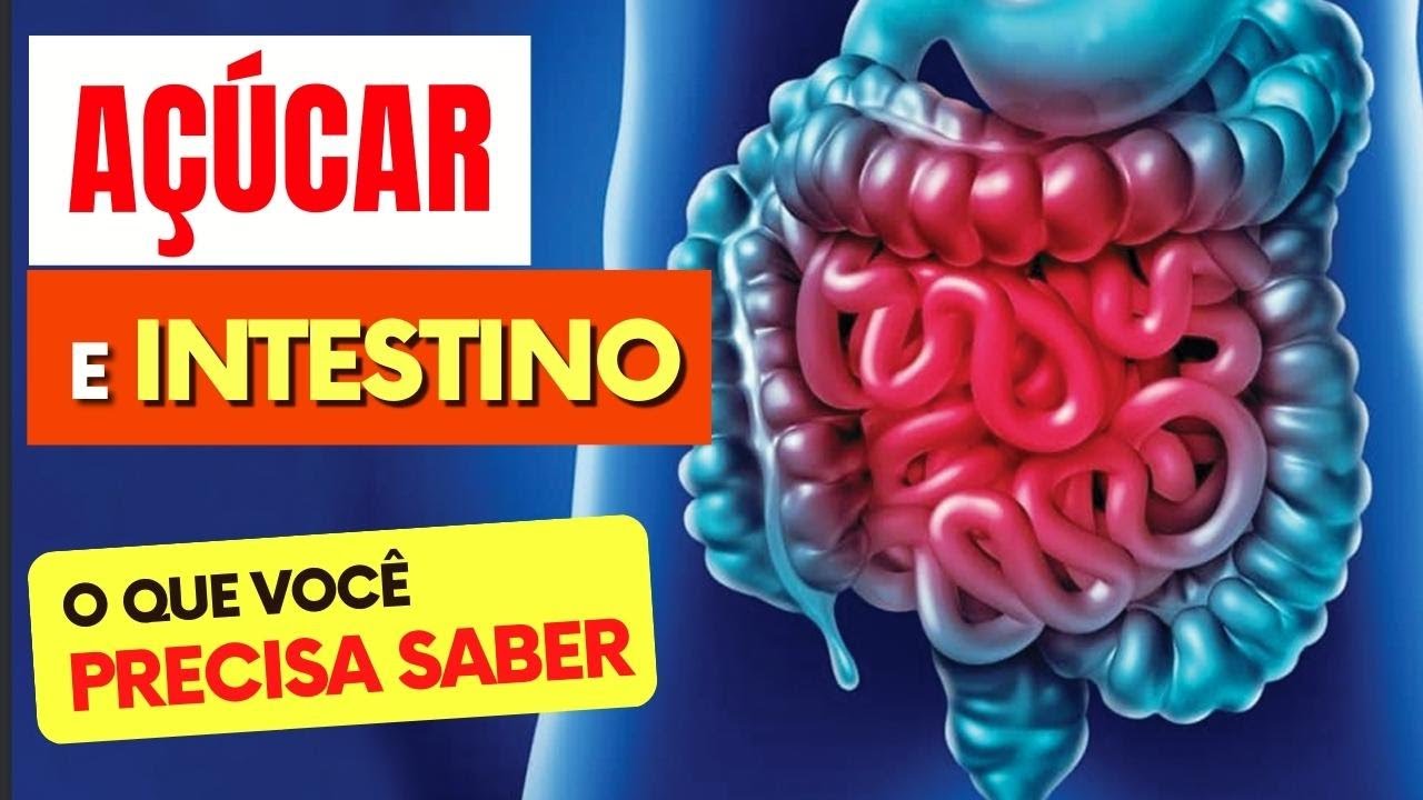 AÇÚCAR e INTESTINO - O que você PRECISA SABER!