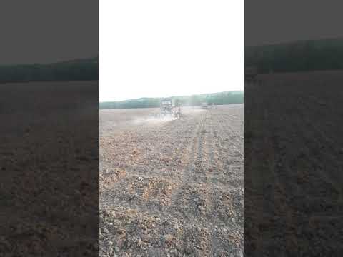 Agricultura la Tetoiu