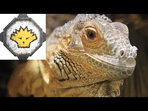 Gor-Rok The Great White Lizard!: Total War Warhammer 2 Campaign #2