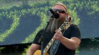 Jamey Johnson - Wild and Blue (Live at Farm Aid 30)