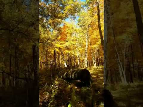 Fall colors on the Dakota trail