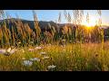 Beautiful Relaxing Hymns, Peaceful Instrumental Music, "Peaceful Evening Sky" by Tim Janis