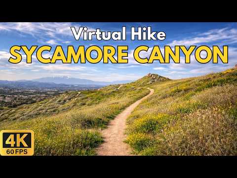 4K Virtual Treadmill Hike – Sycamore Canyon Green Season Trail | 46-Min POV Walk