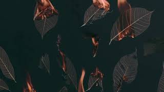 Hidden Hospitals // Liars