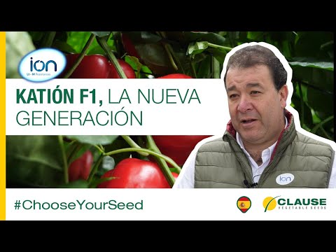 Video: KATION F1