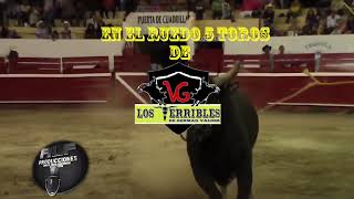 MI BANDA EL MEXICANO la candelaria 2018