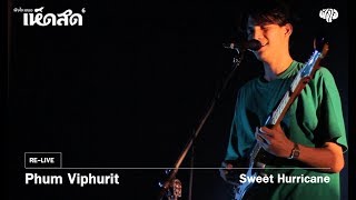 Phum Viphurit - Sweet Hurricane  [Hedsod 6 Concert]