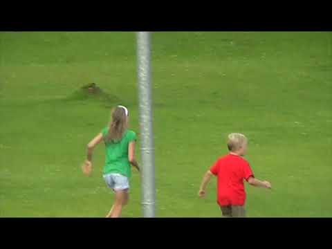 Werfenwenger Badeteich