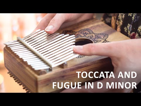 Toccata and Fugue in D minor BWV 565 – J.S. Bach – chromatic kalimba cover – Eva Auner