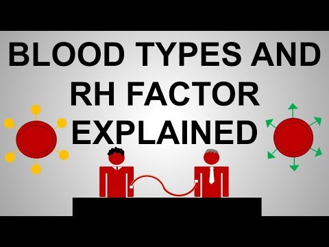 Blood Types and Rh Factor Explained