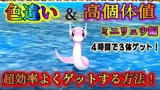 ミニリュウ ポケットモンスター ナエトル バルジーナ キテルグマ