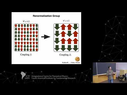 Mauro Copelli: Brain criticality - Class 5
