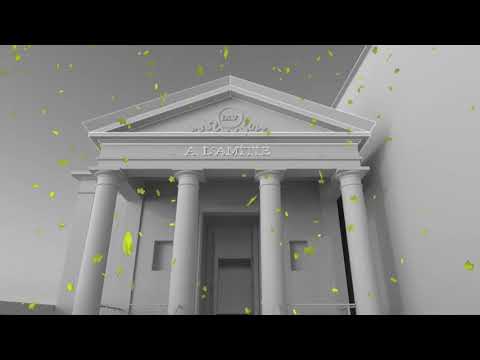 JAHRESSTIPENDIUM MEDIENKUNST 2020 Katharina Aigner