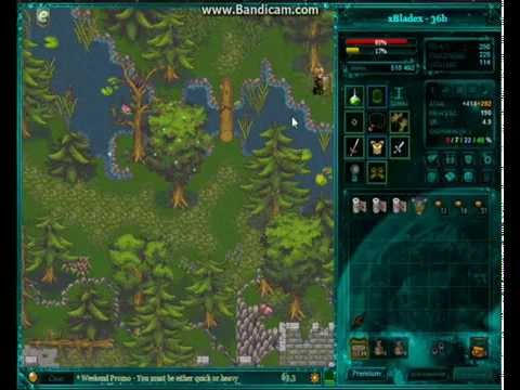 Margonem.com #1 Exp na tancu