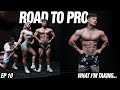 MY STACK TO GO PRO | ROAD TO PRO