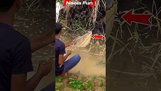 Download lagu 😱 MANCING HOROR❗Strike BUAYA RAKSASA di Rawa, Pemancing JATUH ke Air! 🐊💀 mp3