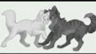 Ashfur- I dont Wanna be in Love