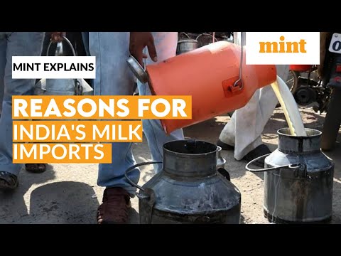 The factors pushing India to consider milk imports | Mint Explains | Mint