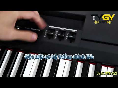 Đàn Piano điện Yamaha P255