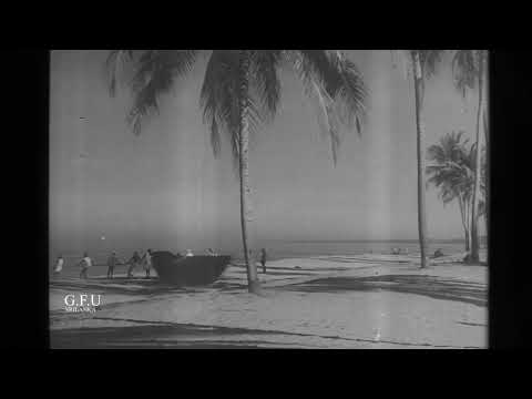 මීගමුවේ දිවරයින් ධීවරන් වර්ෂ 1952 -  fisherman of  Negombo in 1952