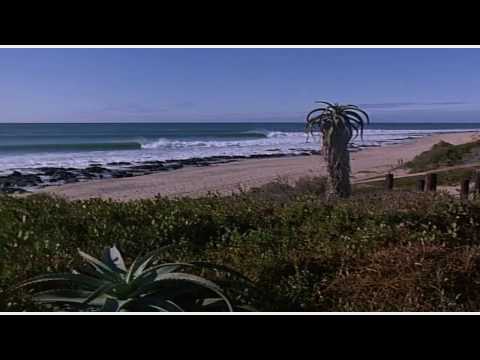 Robin Ward ~ Wonderful Summer (Stereo)