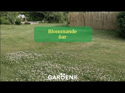 Flowering Islands - Garden hacks with GardenR